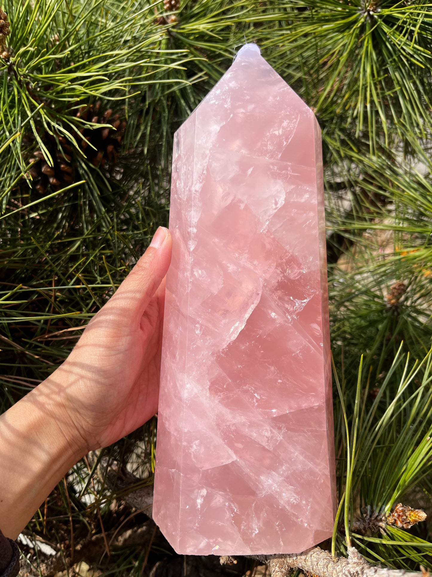 5A 2690G   Natural Rose Quartz Column