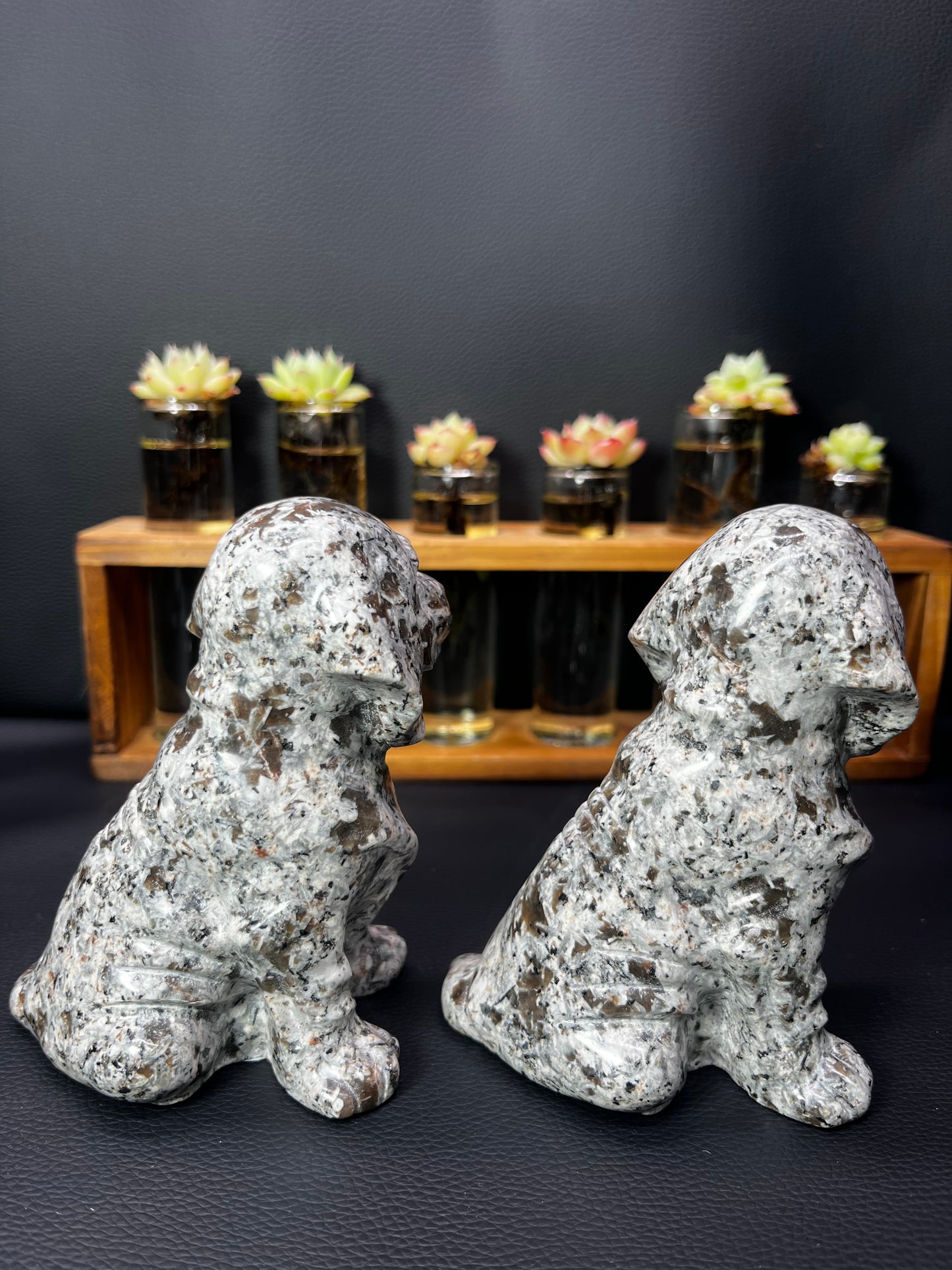 5A480G  Premium Volcanic Stone Dog Carving