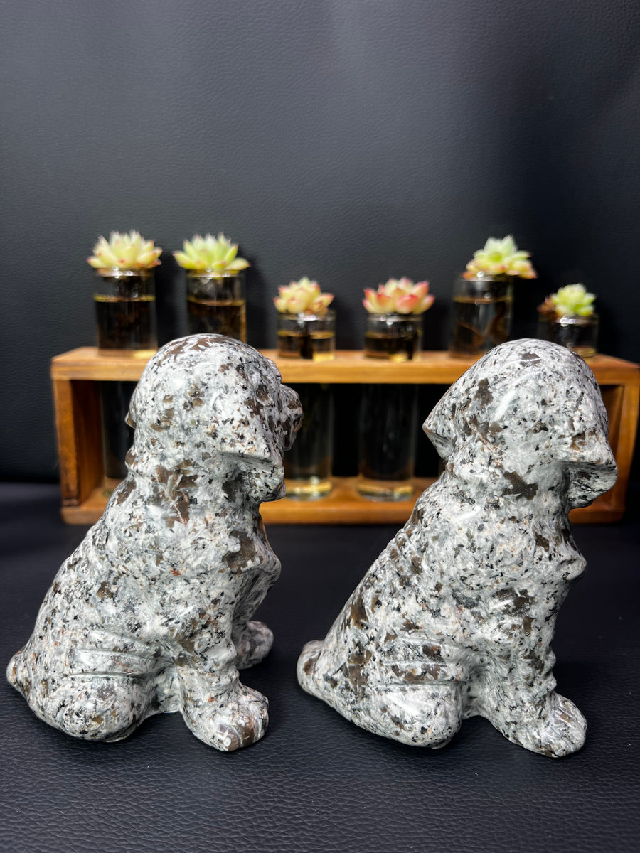 5A480G  Premium Volcanic Stone Dog Carving