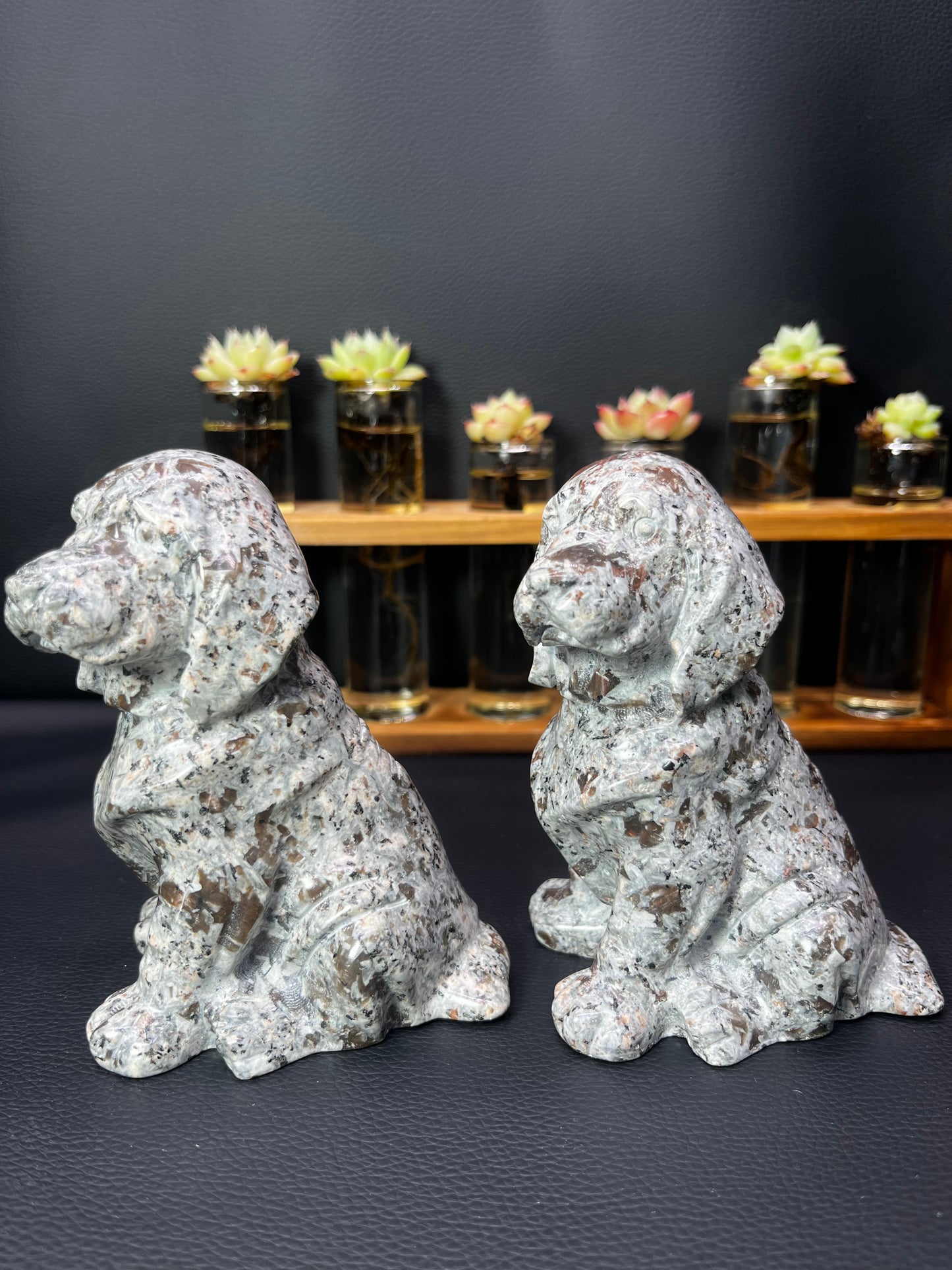 5A480G  Premium Volcanic Stone Dog Carving