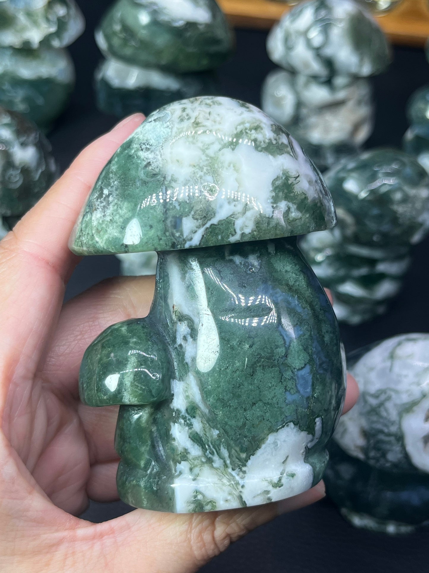5A170G  Premium Moss Agate Mushroom Carving