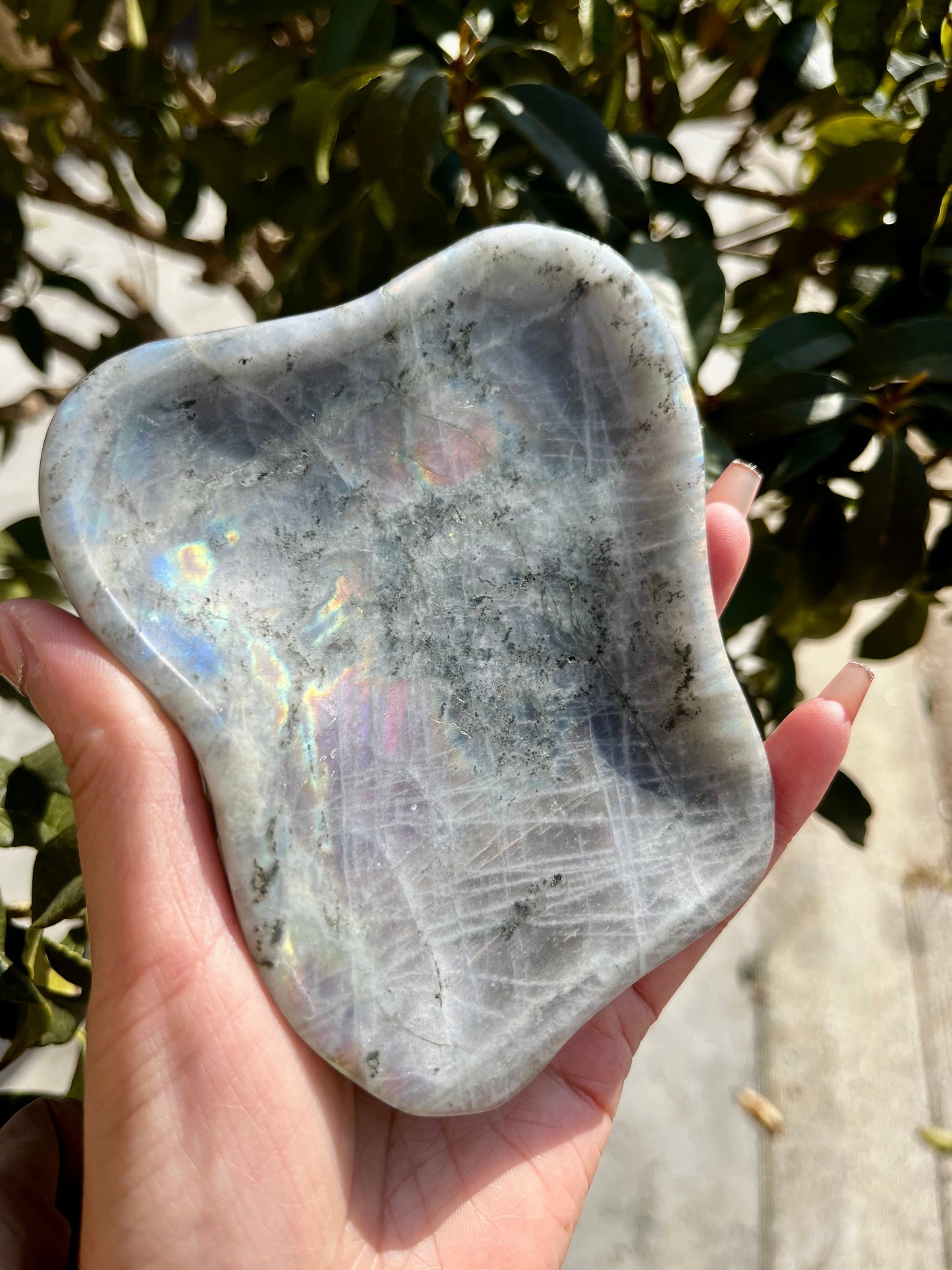 5A240G  Premium Purple Flash Labradorite Bowl