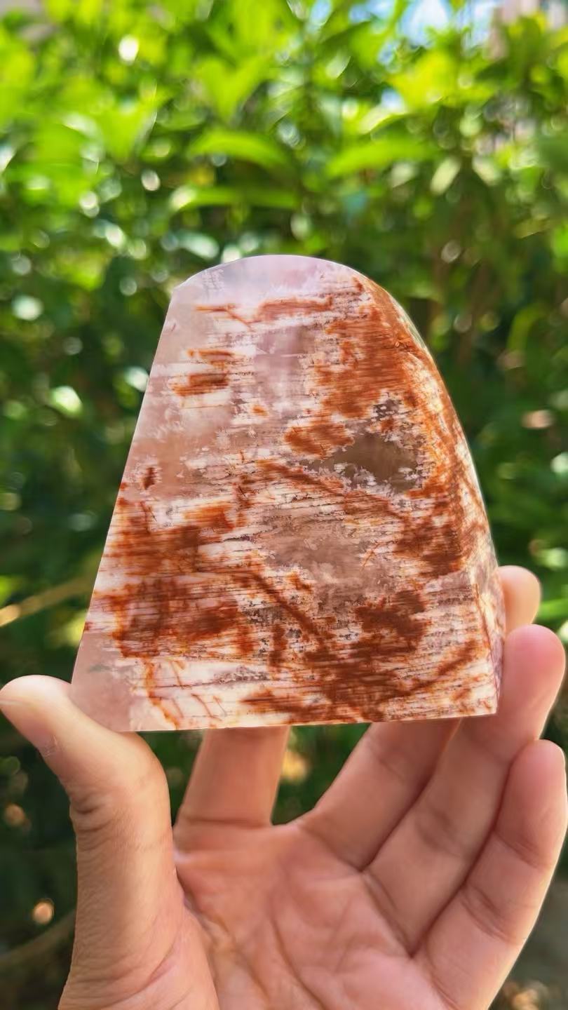 5A 410G   Natural Pink phantom Natural  ornament