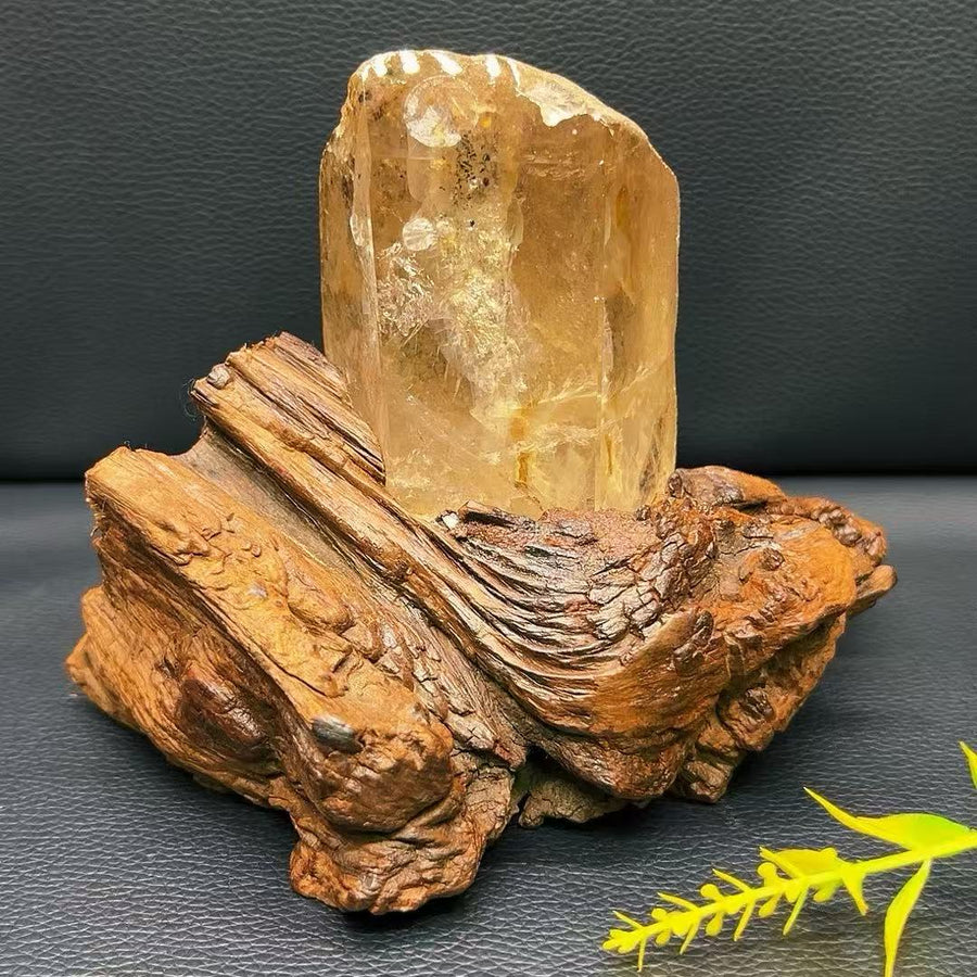 5A 610G  Clear Quartz Point with Golden Yellow Flower & Mountain-in-Mountain Inclusion