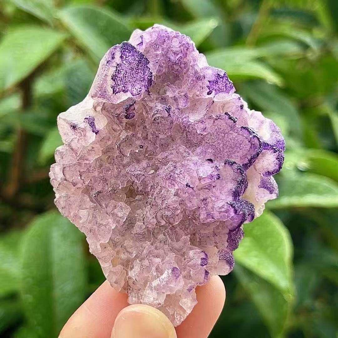 5A95G   lavender fluorite