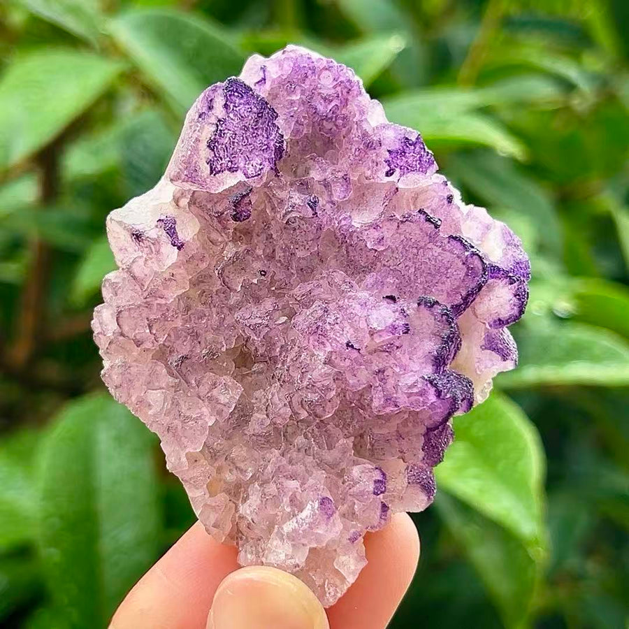 5A95G   lavender fluorite