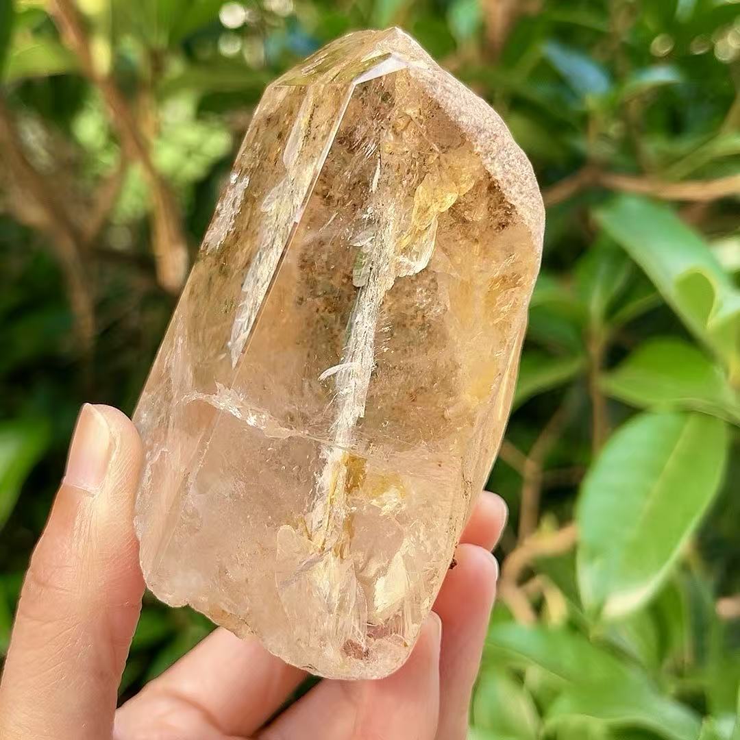5A 610G  Clear Quartz Point with Golden Yellow Flower & Mountain-in-Mountain Inclusion