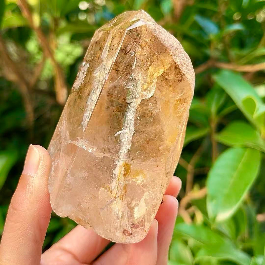 5A 610G  Clear Quartz Point with Golden Yellow Flower & Mountain-in-Mountain Inclusion