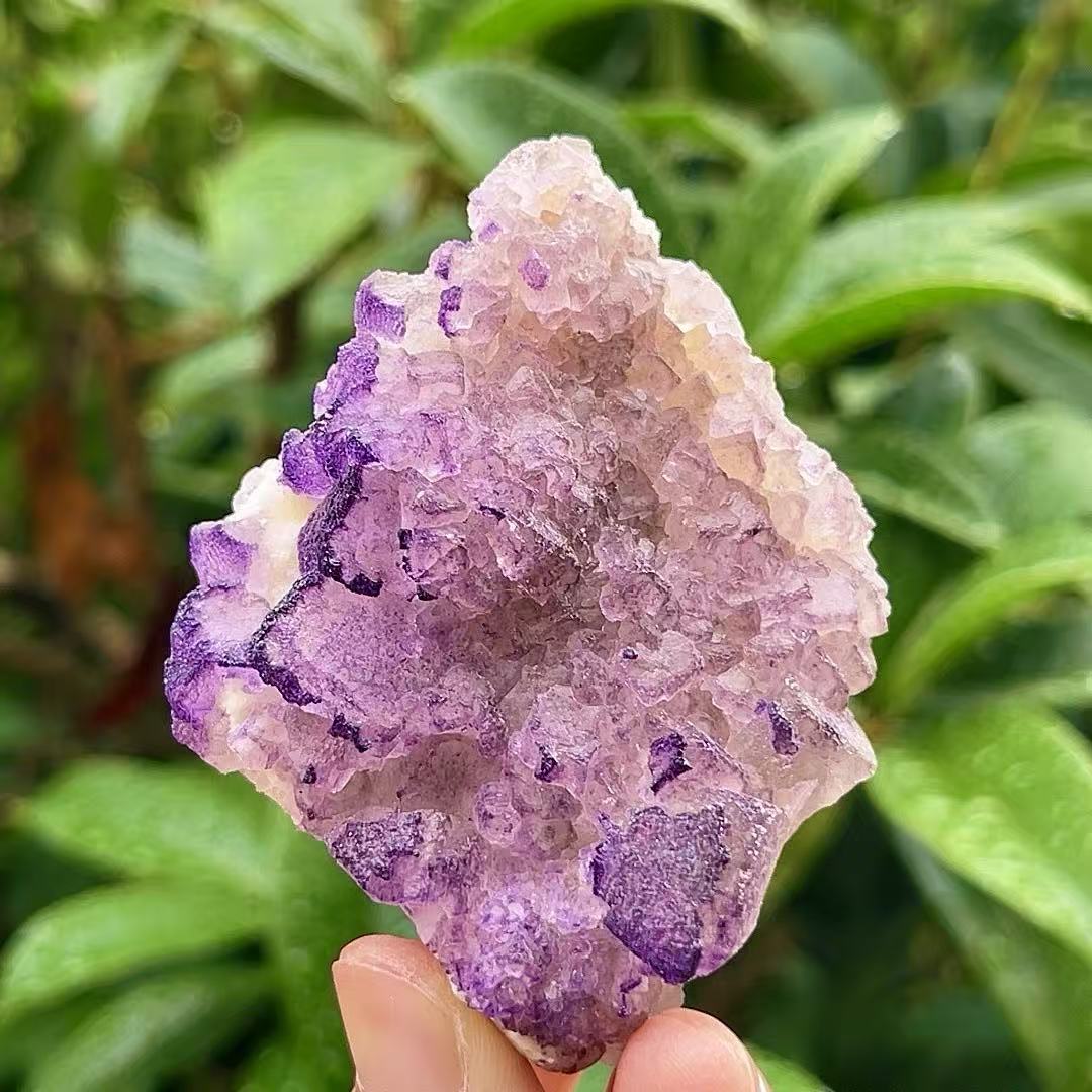 5A95G   lavender fluorite