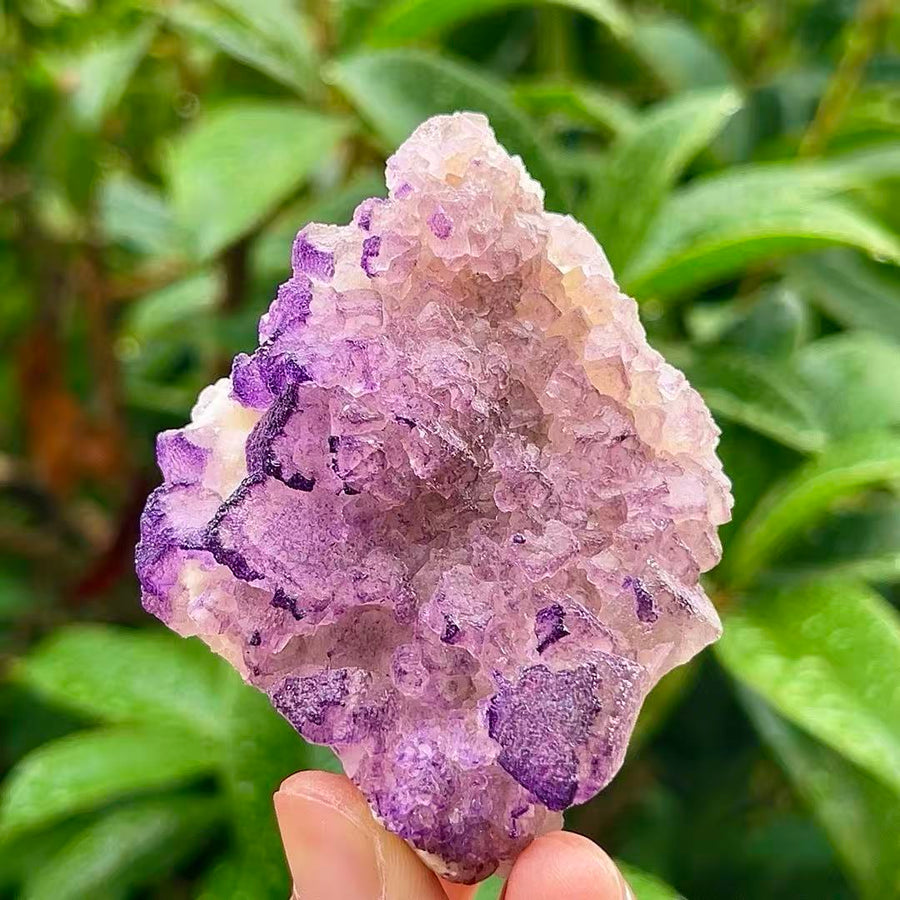 5A95G   lavender fluorite
