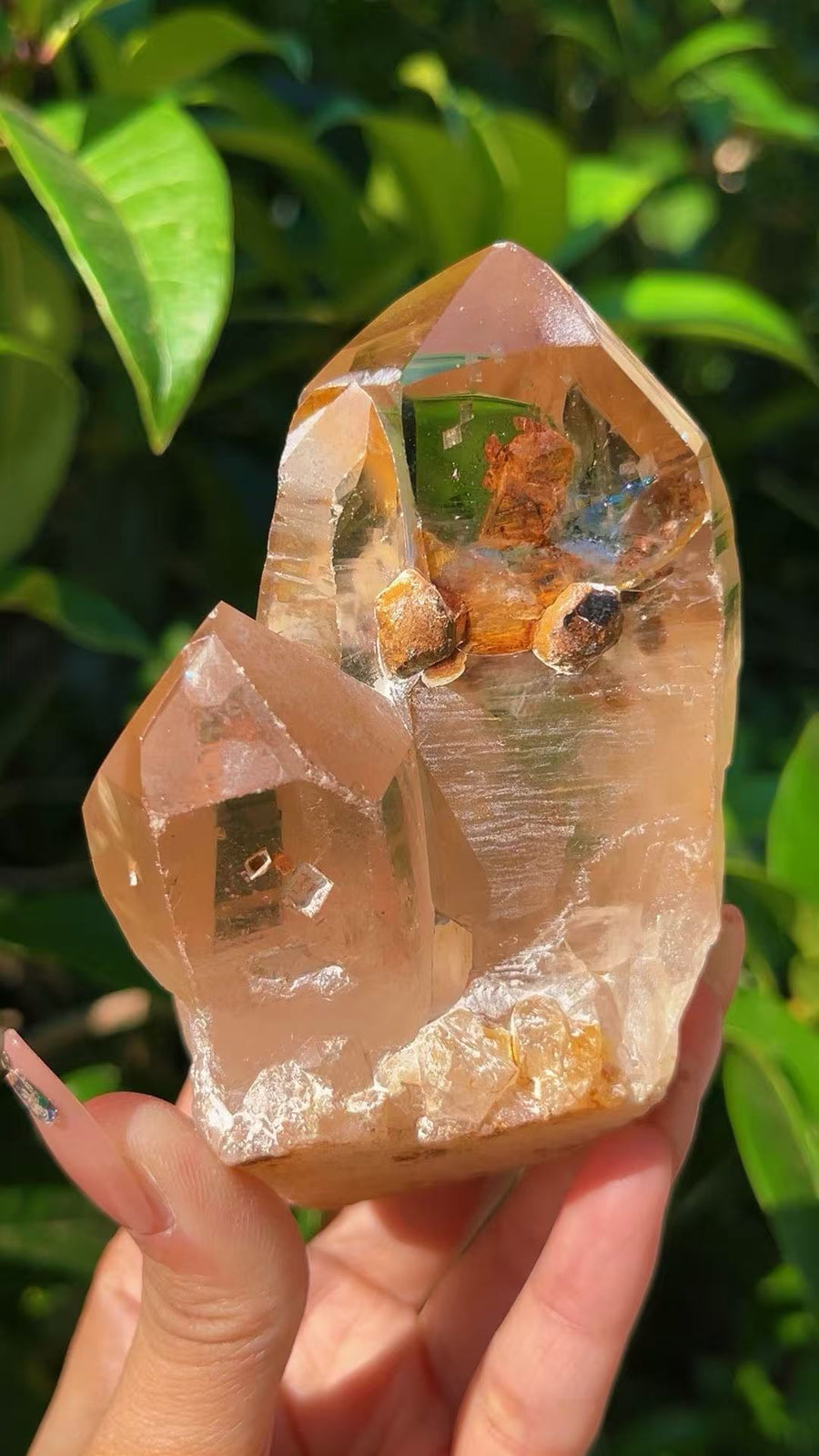 5A  550G  Yellow Phantom Quartz Cluster
