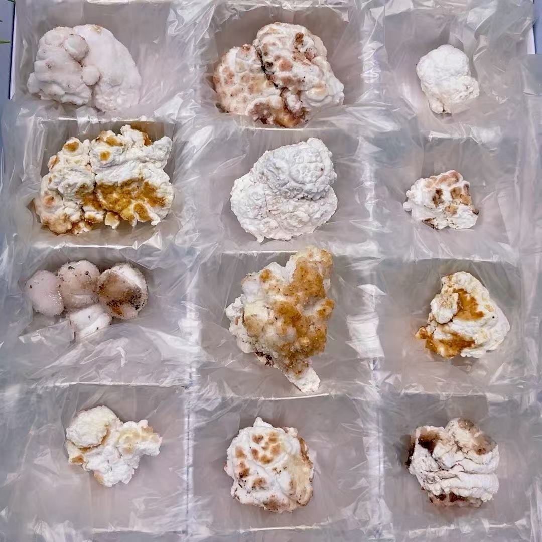 5A  150G    Colorful Popcorn Gypsum