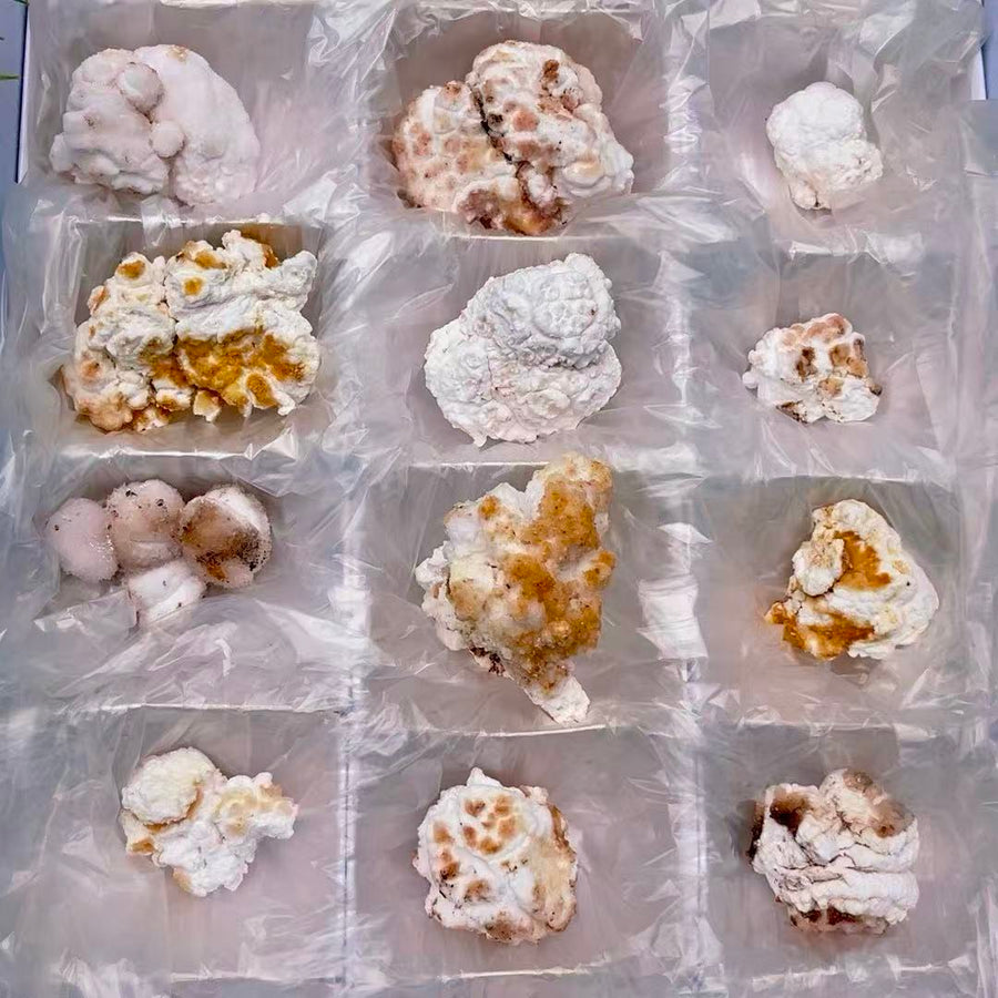 5A  150G    Colorful Popcorn Gypsum