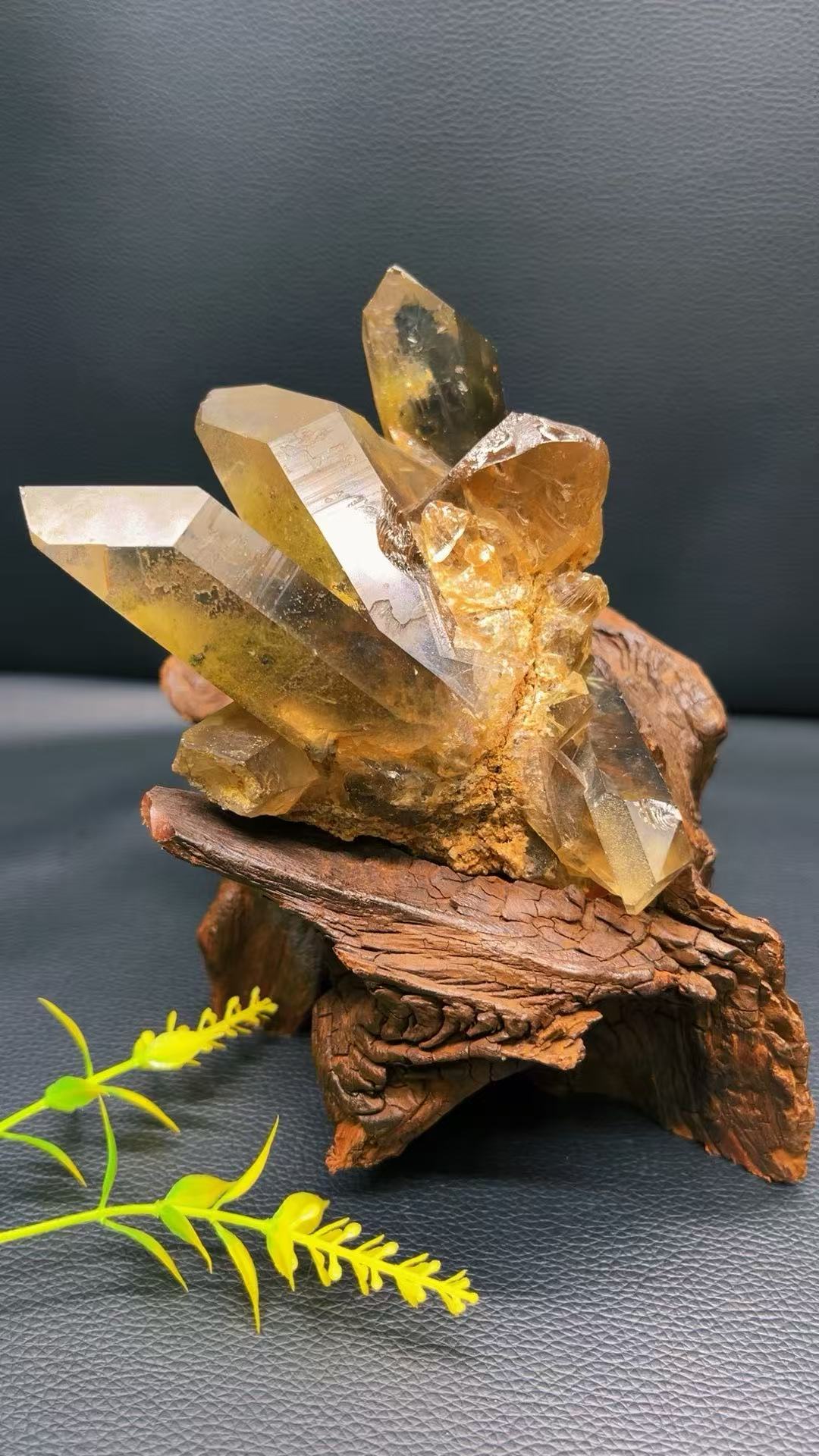 5A 1140G   Garden quartz Black Tourmaline Cluster