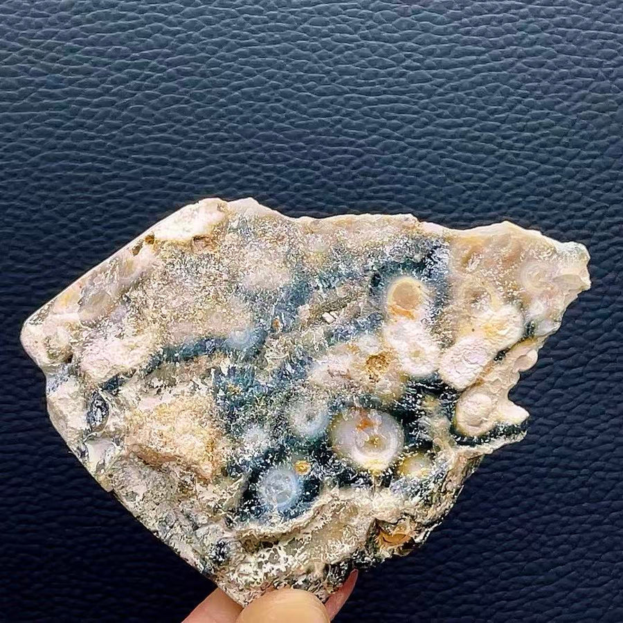 5A66G   Stunning Ocean Jasper