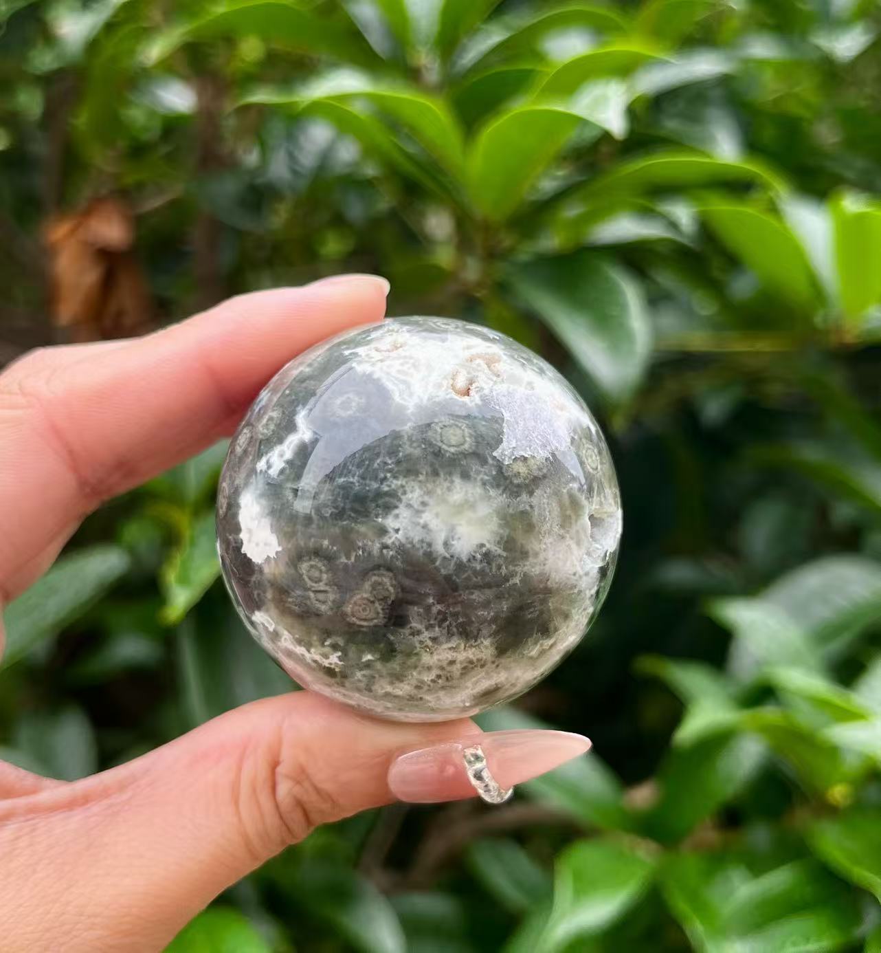 5A300G   Vivid Veined Eight-gen Ocean Jasper Orb
