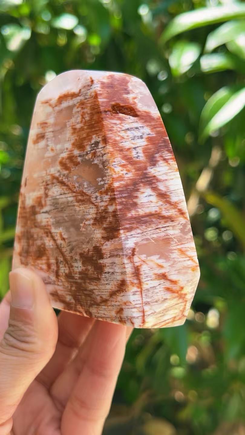 5A 410G   Natural Pink phantom Natural  ornament