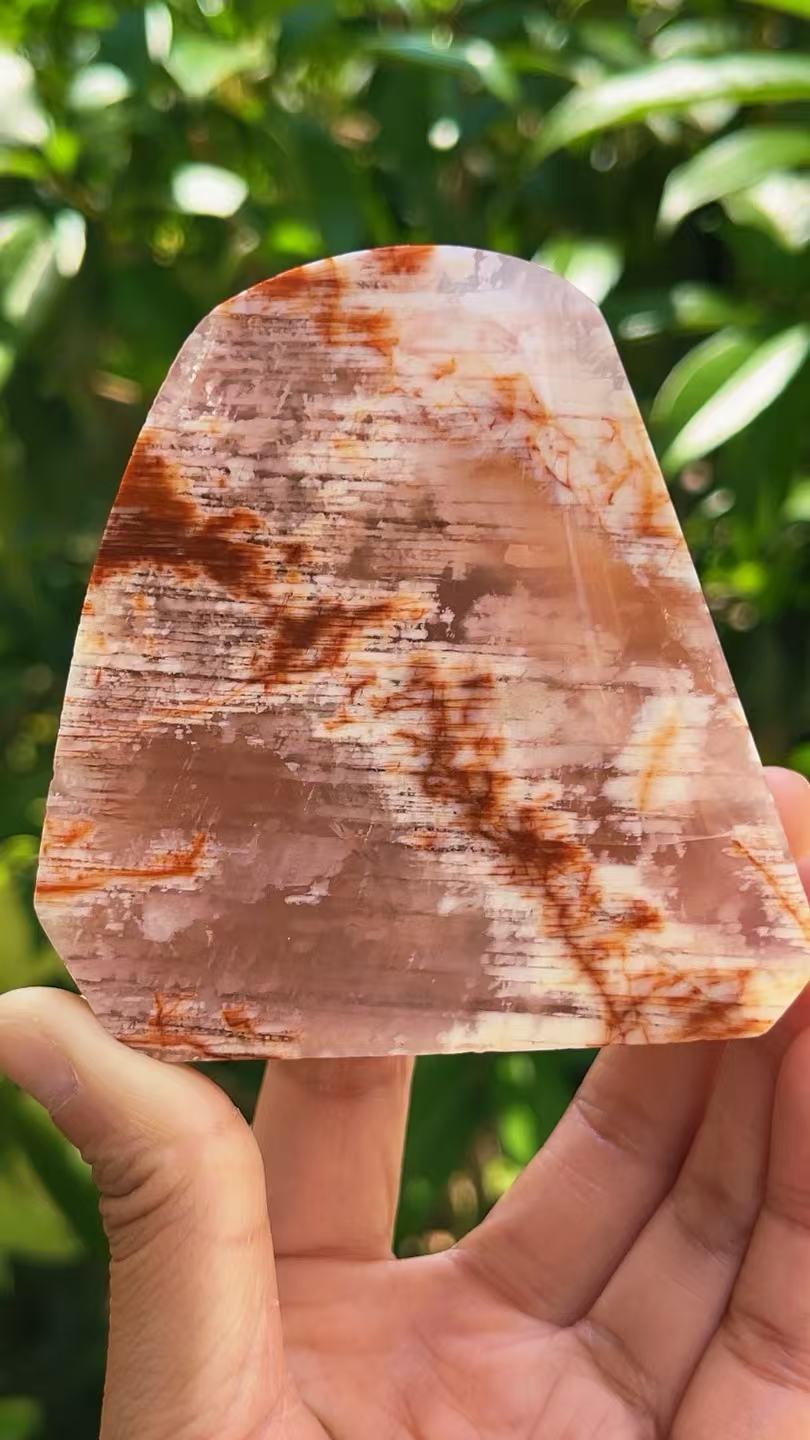5A 410G   Natural Pink phantom Natural  ornament