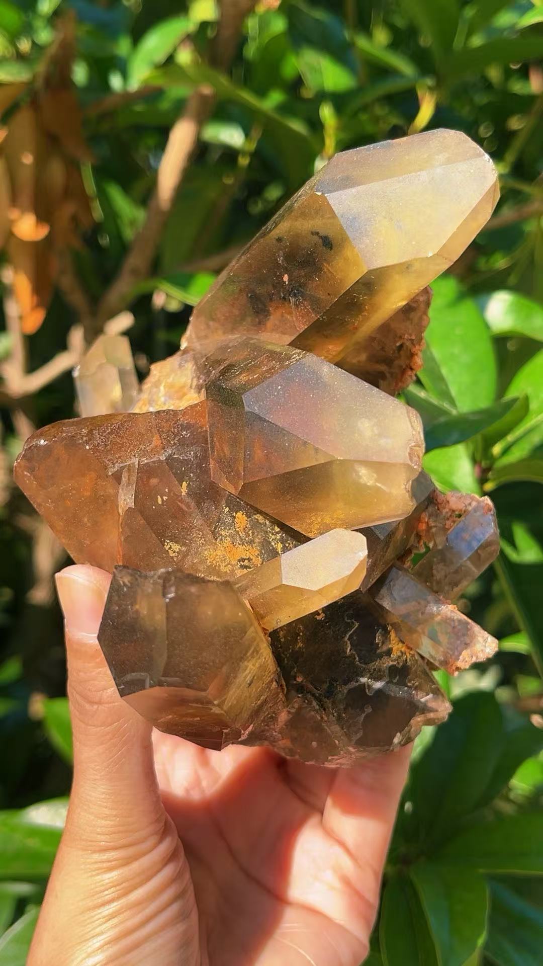 5A 1140G   Garden quartz Black Tourmaline Cluster