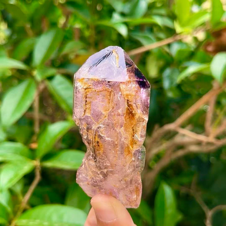 5A  70G   Himalayan Amethyst Skelenton Crystal