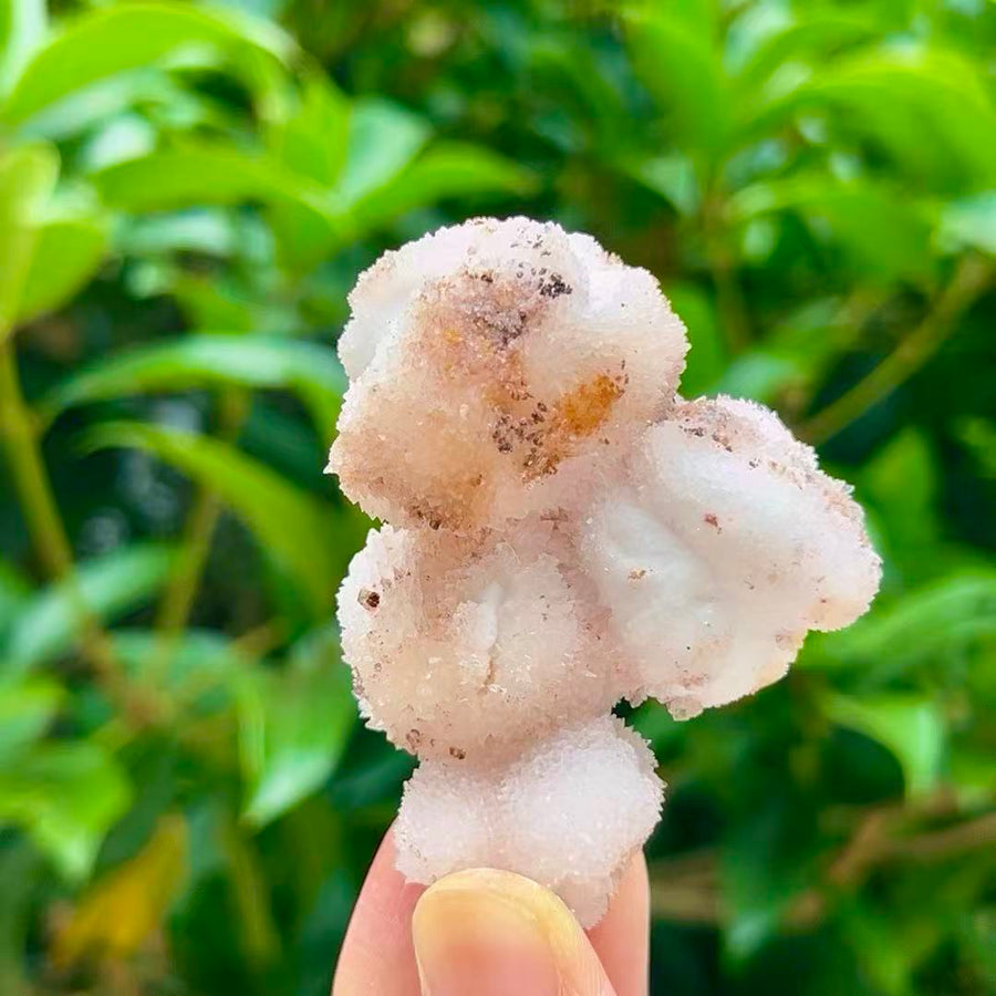 5A  150G    Colorful Popcorn Gypsum