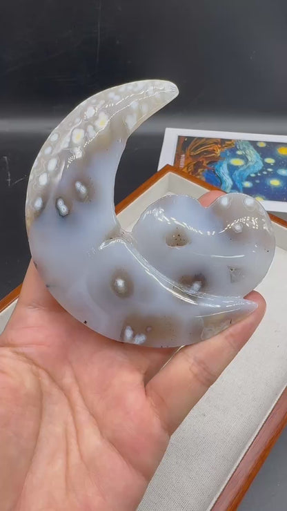 A00086 unique snowflake moon heart agate caving