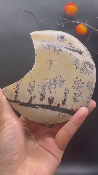 A00201  natural picture jasper moon carving