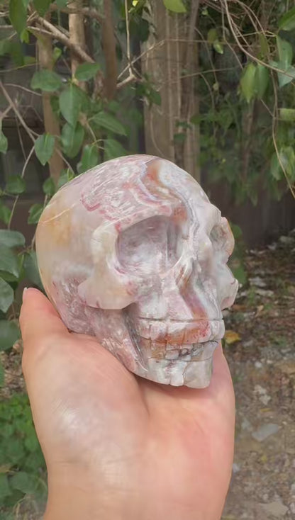 A00198 beautiful laguna mexico agate skull xl size