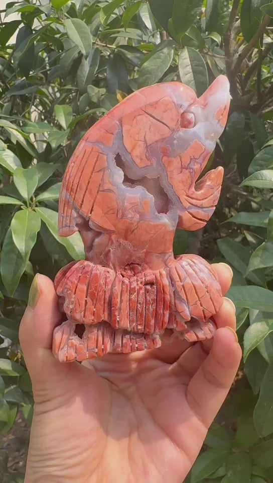 A00108 pretty pink flower agate druzy handcraft dolphin carving