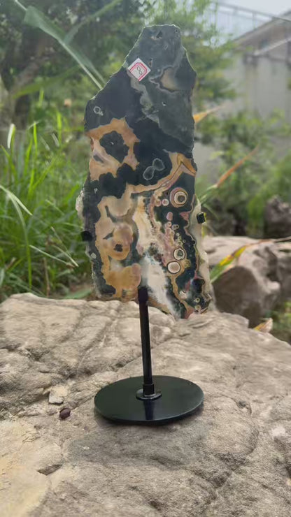 A00208 Rare natural highest quality emerald green ocean jasper with eyes slab