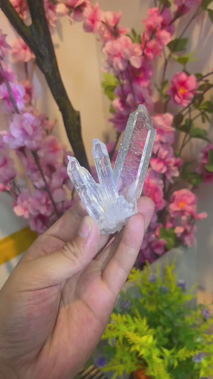 A00009 AA RARE Glassy Lemurian Quartz Cluster from Columbia, Self Standing Crystal Points