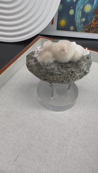 A00076 soo cute dandelion thomsonite natural specimen