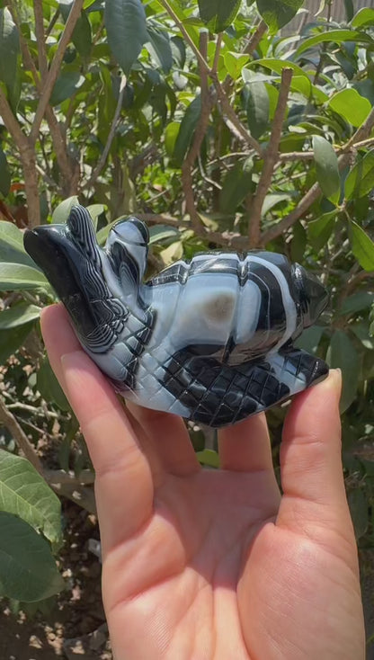 A00172 VERY beautiful druzy black onyx  agate snail animal carving  with good painting