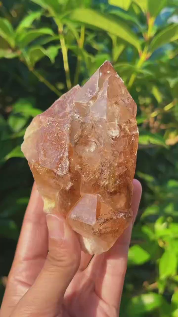 5A 490G    Natural  Citrine Skeleton