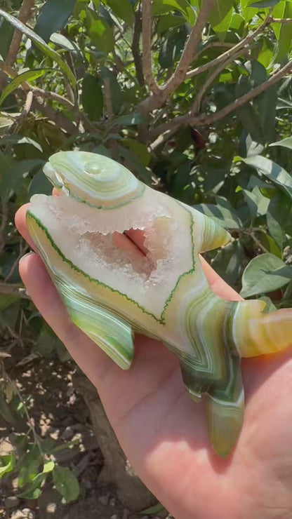 A00170 VERY beautiful druzy green onyx  agate shark animal carving with good painting