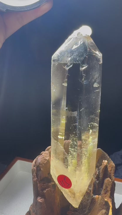 A00241 Rare natural highest quality blue needle transparent cirtrin quartz tower with green tourmaline