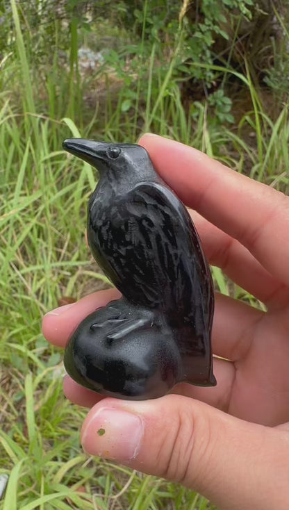 A00120 pretty black obsidian crow bird carving (2size）