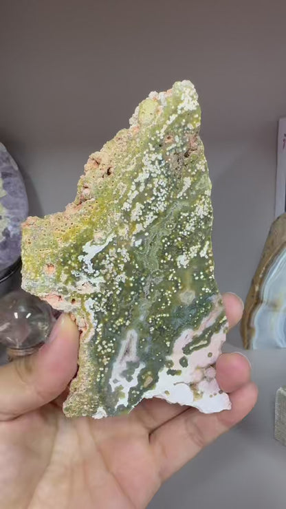 A00133 rare beautiful pin grenn 8th-ocean jasper slab