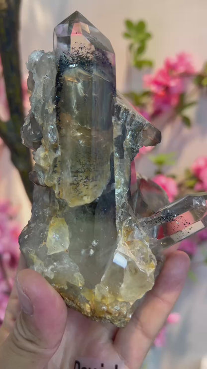 A00003 clear quartz with black mica crystal enclosure