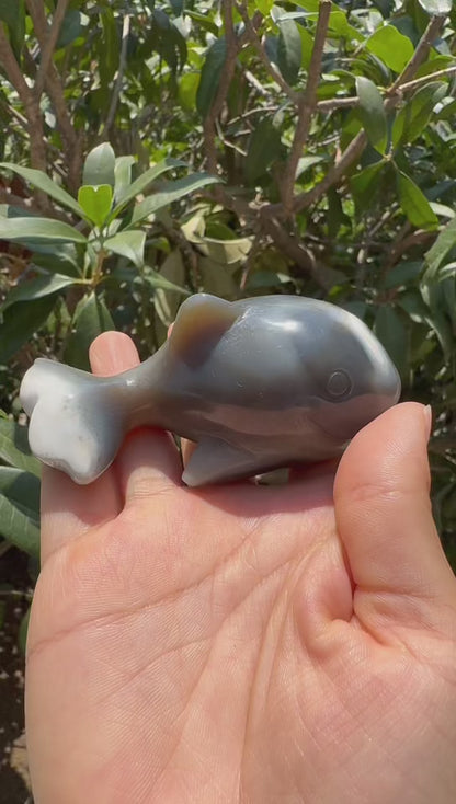 A00173 VERY beautiful  oca agate whale animal carving  with good painting