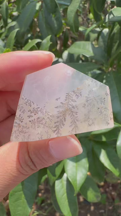 A00140 rare beautiful dentritic tree golden healer