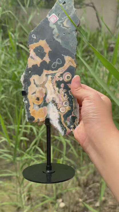 A00208 Rare natural highest quality emerald green ocean jasper with eyes slab