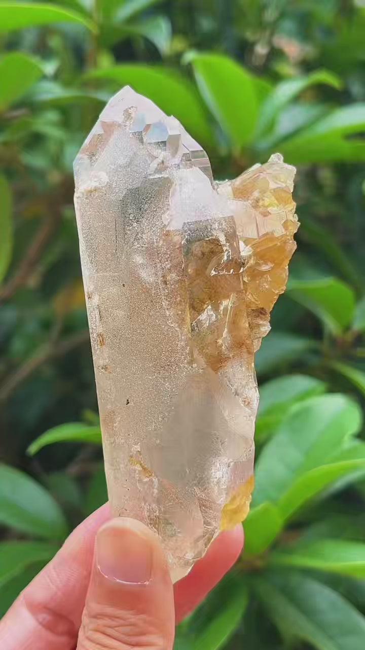 5A 160G   Yellow Flower Inclusion White Quartz Cluster Ornament