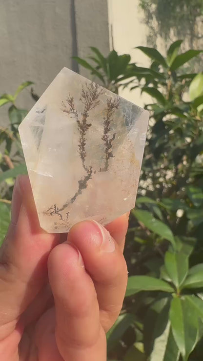 A00028 pretty natural dentritic tree golden healer freeform