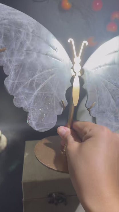 A00224 Rare natural highest quality strong purple sun flash labradorite butterfly wings with custom-made gold matal holder