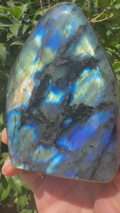 A00013 Natural full blue flash labradorite free form