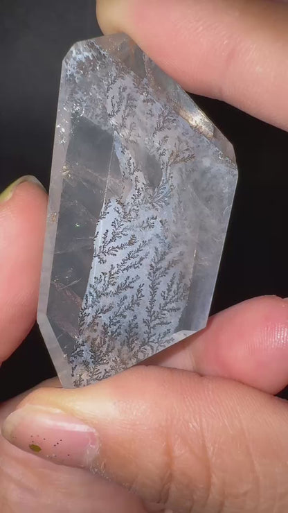 A00115 rare unique dentritic tree golden healer handcrystal