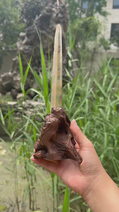 A00205 Rare natural highest quality lemurian quartz with customed wooden holder
