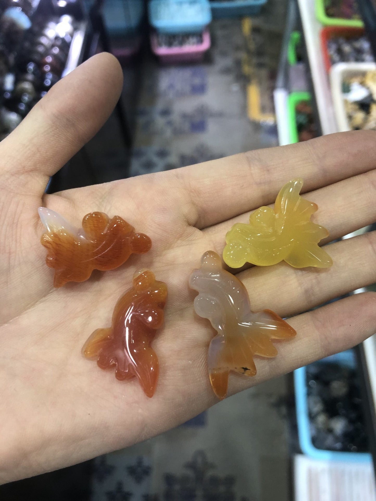 agate gold fish